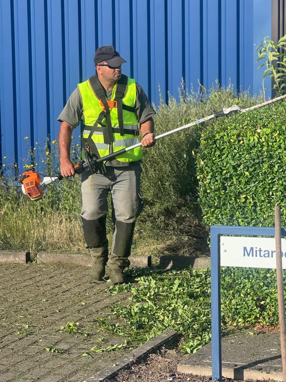 Mitarbeiter schneidet eine Hecke mit der Motor-Heckenschere
